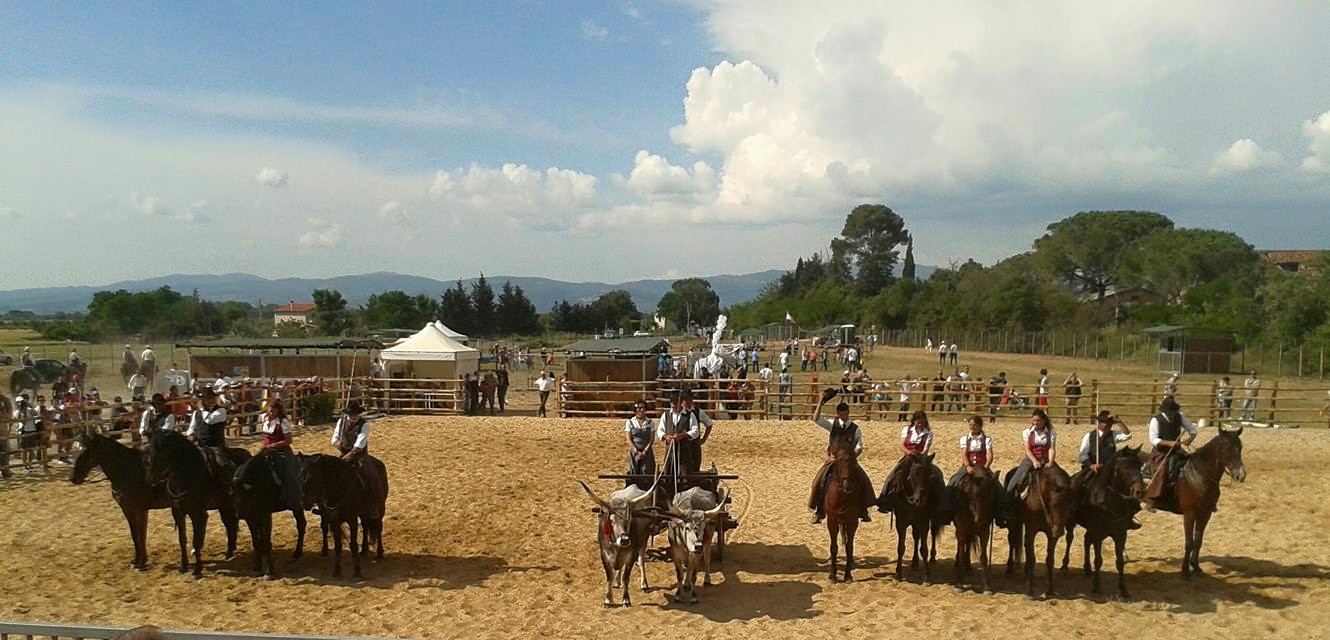 spettacoli equestri