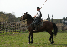 butteri