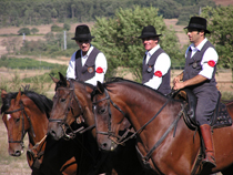 gioco della rosa