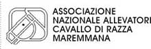 Associazione