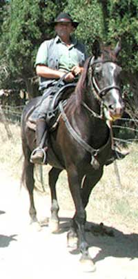 maremmana mount