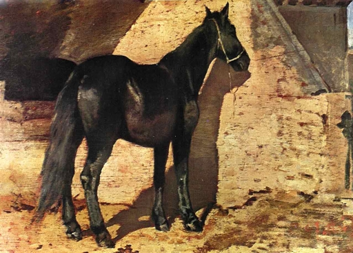 Fattri - Cavallo Nero al Sole